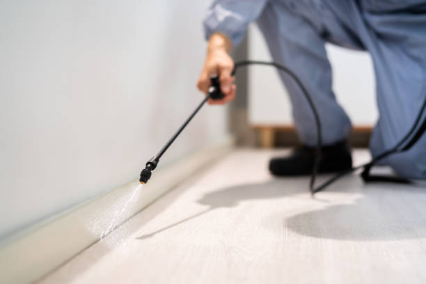 Licensed Pest Control service in Goodwell, OK - Show Me Pest Control